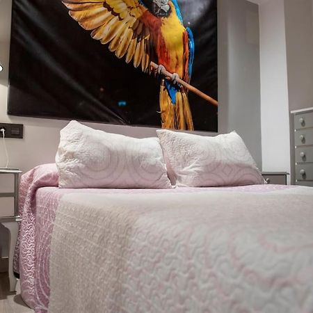 Apartamento Ventanal Ateca 外观 照片